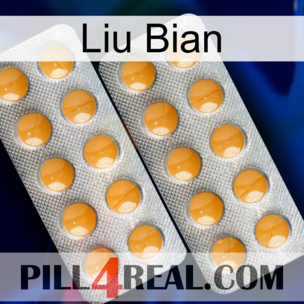 Liu Bian levitra2